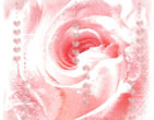 StValentine 228