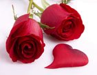 StValentine 251