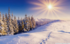 footprints_in_the_snow wallpaper