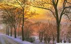 golden_winter_sunset wallpaper