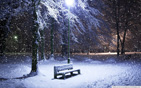 lone_bench_covered_in_snow wallpaper