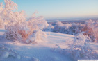 morning_winter_light wallpaper