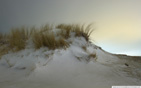 snow_dunes_in_hook_of_holland wallpaper
