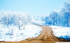 snow_path wallpaper