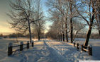 snowy_country_road wallpaper