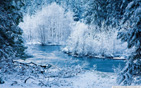 white_landscape wallpaper