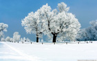 white_scenery wallpaper