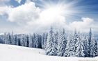 winter_12 wallpaper