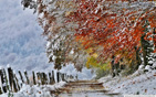 Winter_17 wallpaper