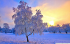 Winter_evening_light wallpaper