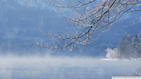 Winter_fog_lake wallpaper