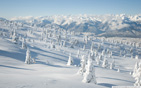 Winter_landscape_with_spruce_tree_covered