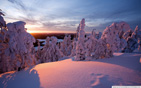 Winter_lapland_finland wallpaper