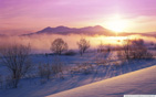 Winter_mist wallpaper