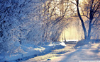 Winter_morning_light wallpaper