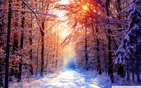 Winter_scenes_18 wallpaper