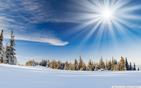 Winter_sunlight wallpaper