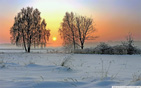 Winter_sunrise wallpaper