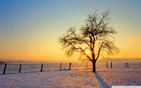 Winter_sunset wallpaper
