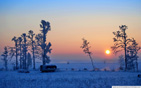 Wonderful_winter_morning wallpaper