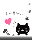 animal318