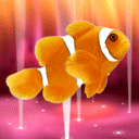 Animal222