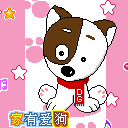 Animal23