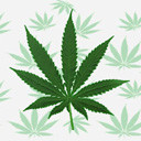 Pot leaf