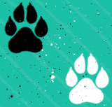 animal backgound pattern 051