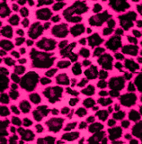 animal backgound pattern 064