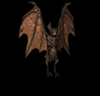 dark pattern 089