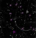 dark pattern 110
