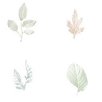 flowers pattern 004