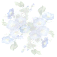 flowers pattern 017