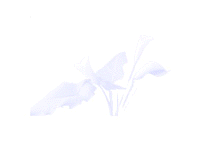 nice background pattern 186