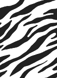 scene background pattern 146