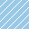 skulls background pattern 0528