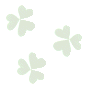 skulls background pattern 0554