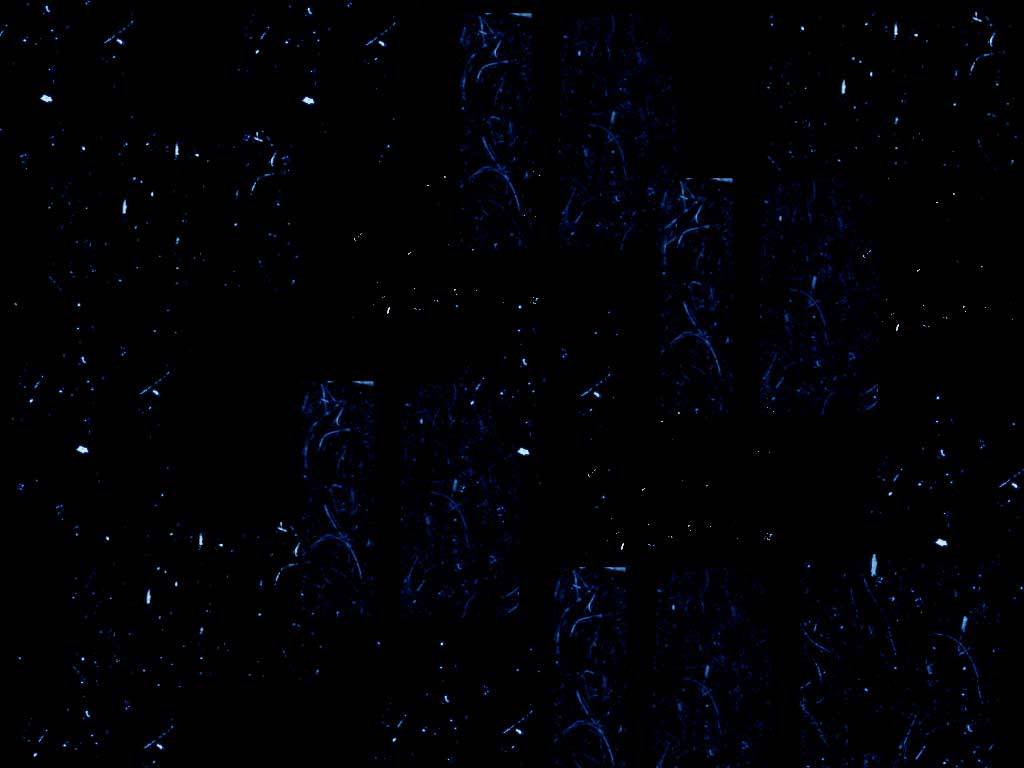 skulls background pattern 0790