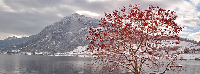 Winter wallpaper 3