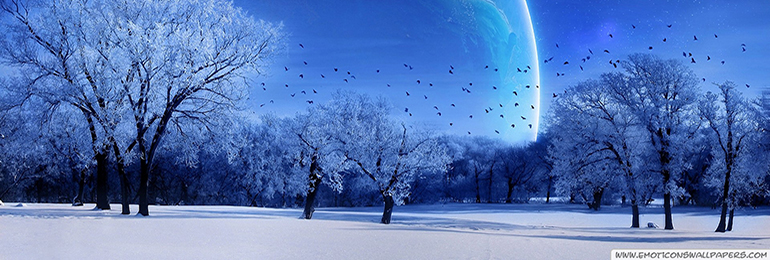 Winter wallpaper 5