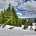 Winter wallpaper 4